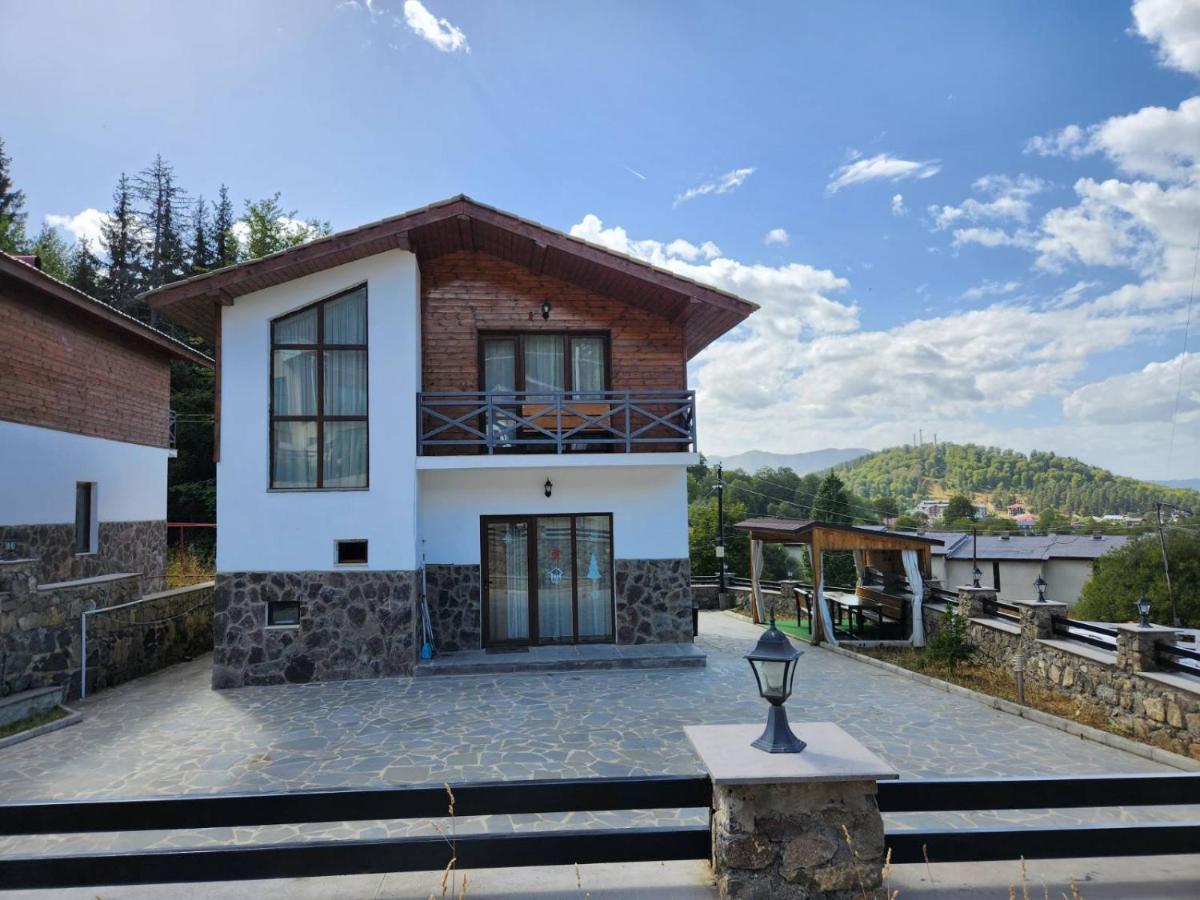 Villa In Mountains Bakuriani Exterior photo