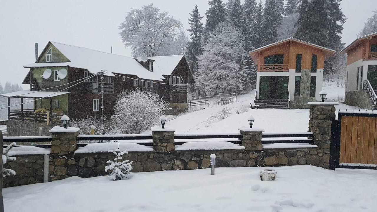 Villa In Mountains Bakuriani Exterior photo
